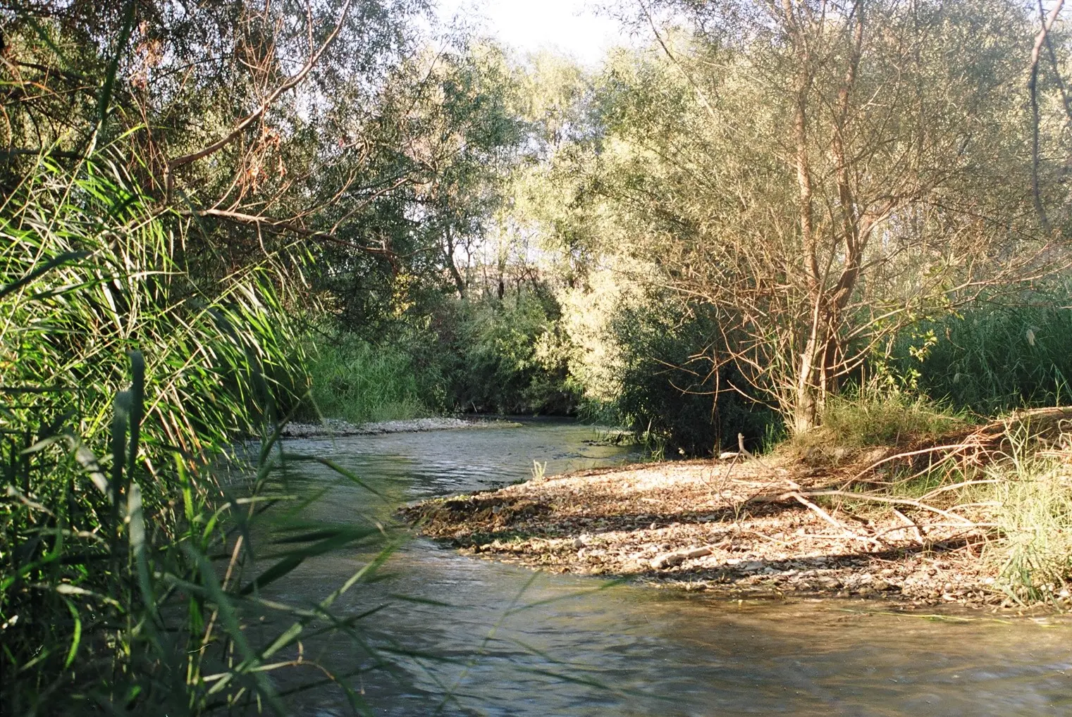 bizim köy